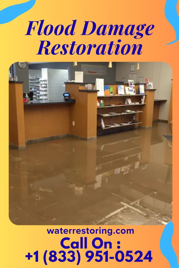 Flood Damage Restoration in Piney Green, NC