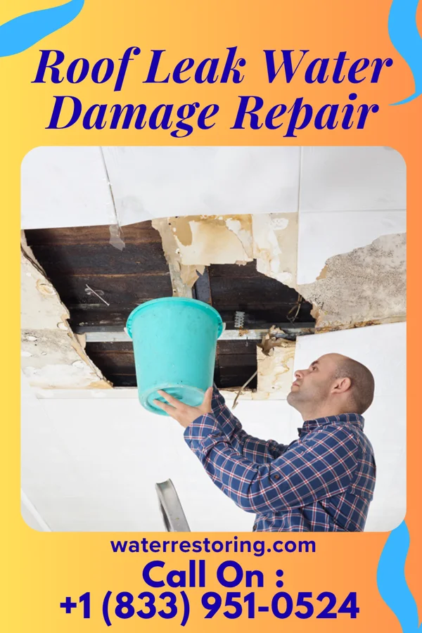 Roof Leak Water Damage Repair in Piney Green, NC