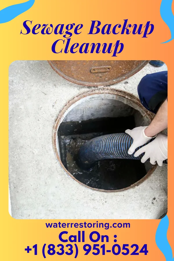 Sewage Backup Cleanup in Piney Green, NC