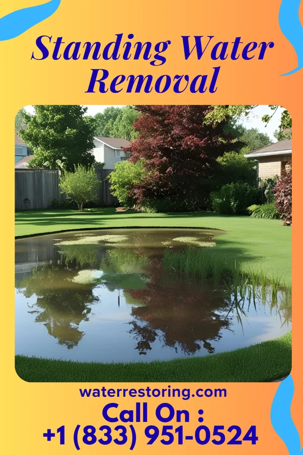 Standing Water Removal in Piney Green, NC